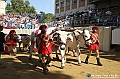 VBS_1002 - Palio di Asti 2024